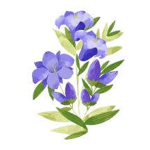 flor