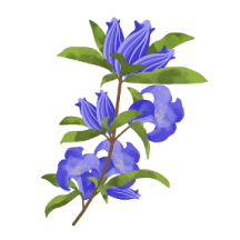 flor