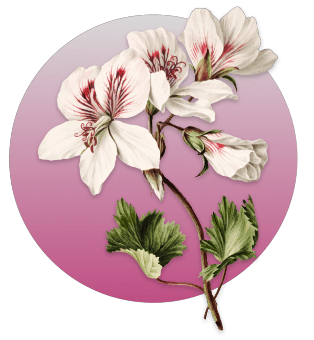 flor